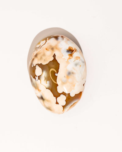 Pastel Orca Agate Carnelian - 27