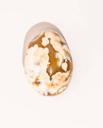 Pastel Orca Agate Carnelian - 48