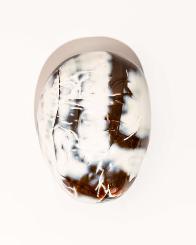 Orca Agate Carnelian - 40
