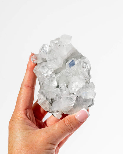 Apophyllite Cluster - 48