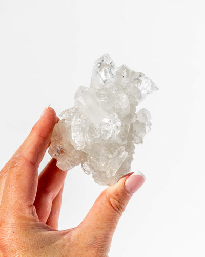 Apophyllite Cluster - 31