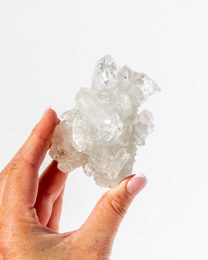 Apophyllite Cluster - 31