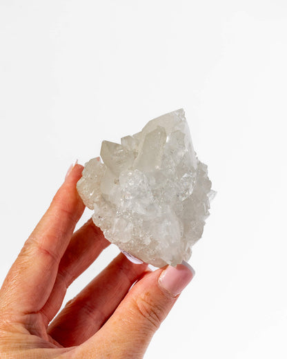 Apophyllite Cluster - 40