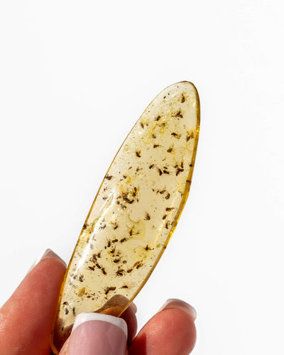 Amber with insects