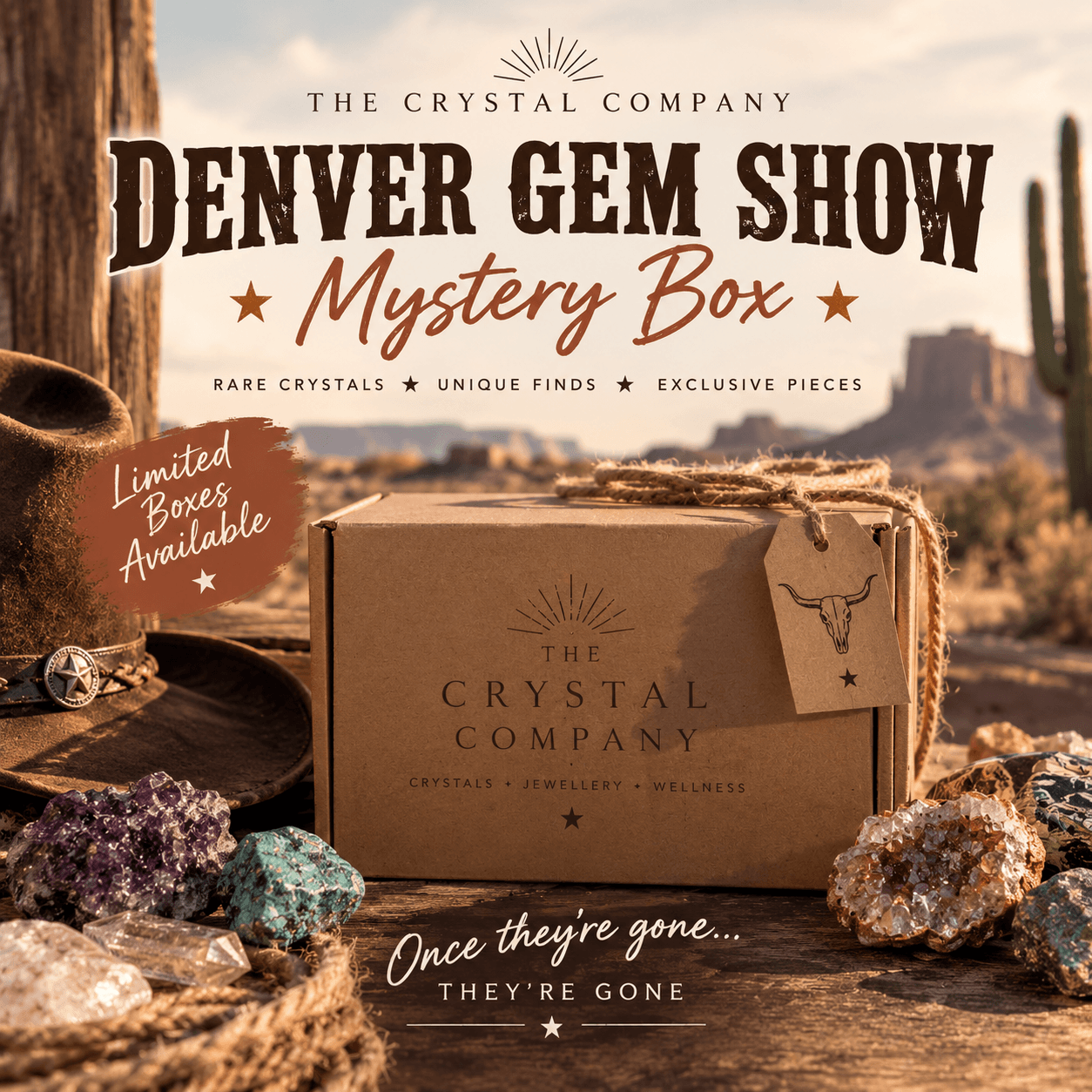 Denver 2026 Gem Show Mystery Box