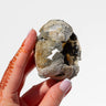 Fossilised Clam Shell With Calcite Healing Crystal