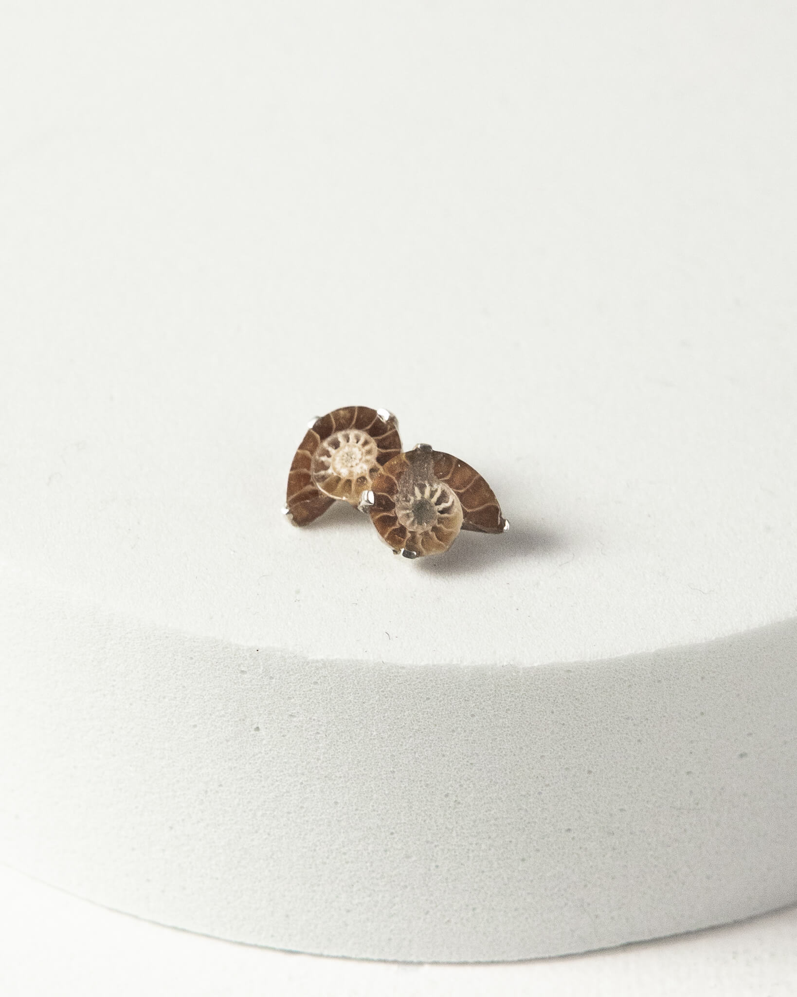 Ammonite Stud Earrings 925 Sterling Silver