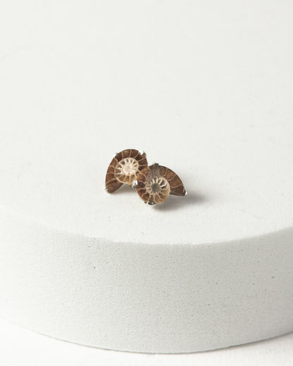 Ammonite Stud Earrings 925 Sterling Silver Healing Crystal