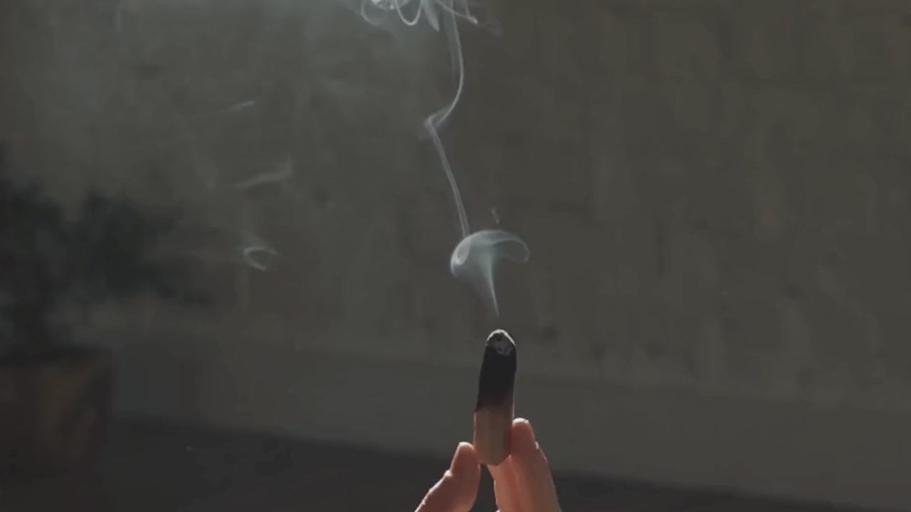 Load video: Cleansing With Palo Santo Smoke