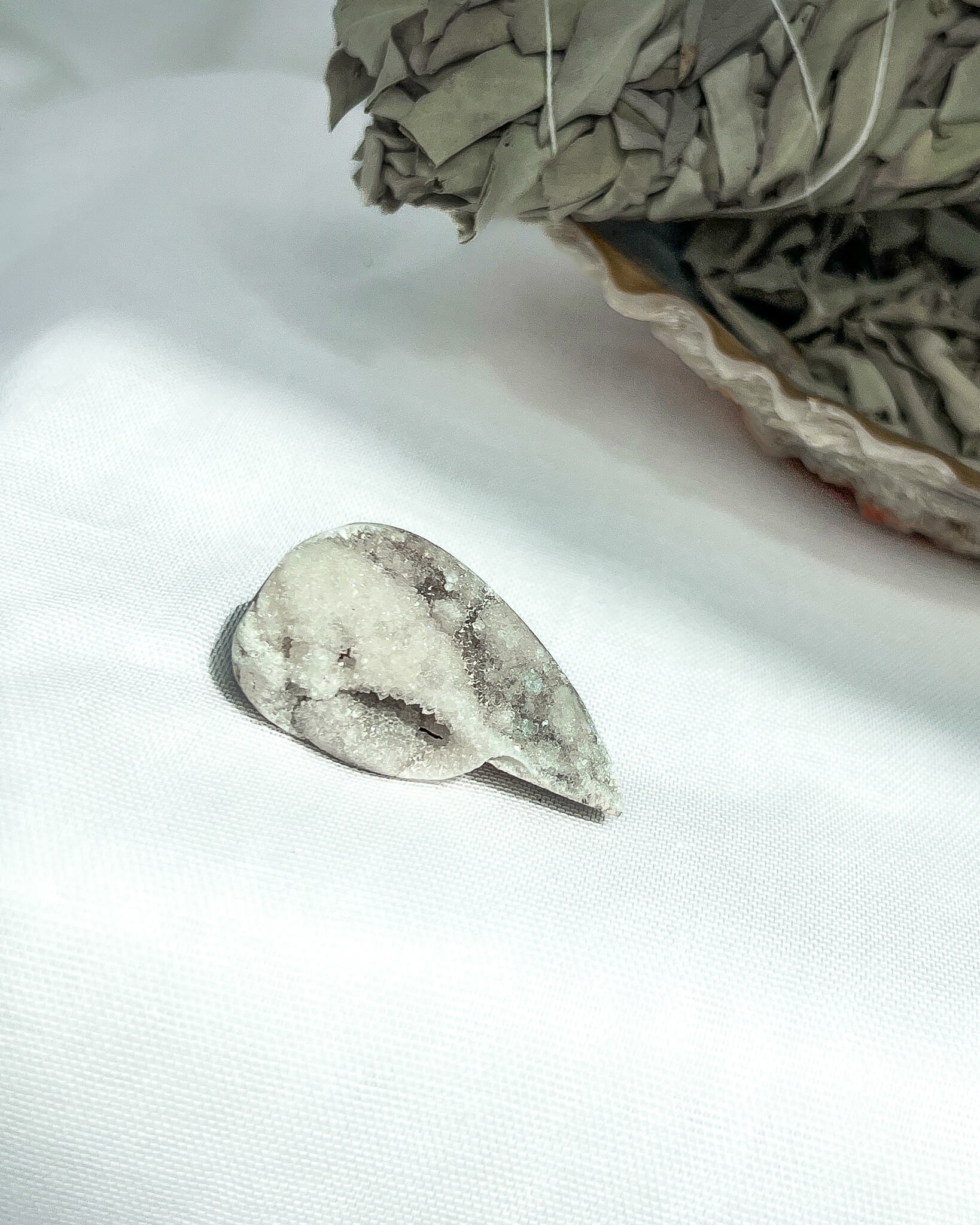 Fossilised Quartz Shell Healing Crystal