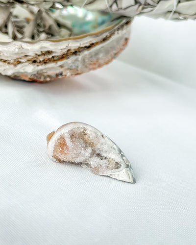 Fossilised Quartz Shell - 86