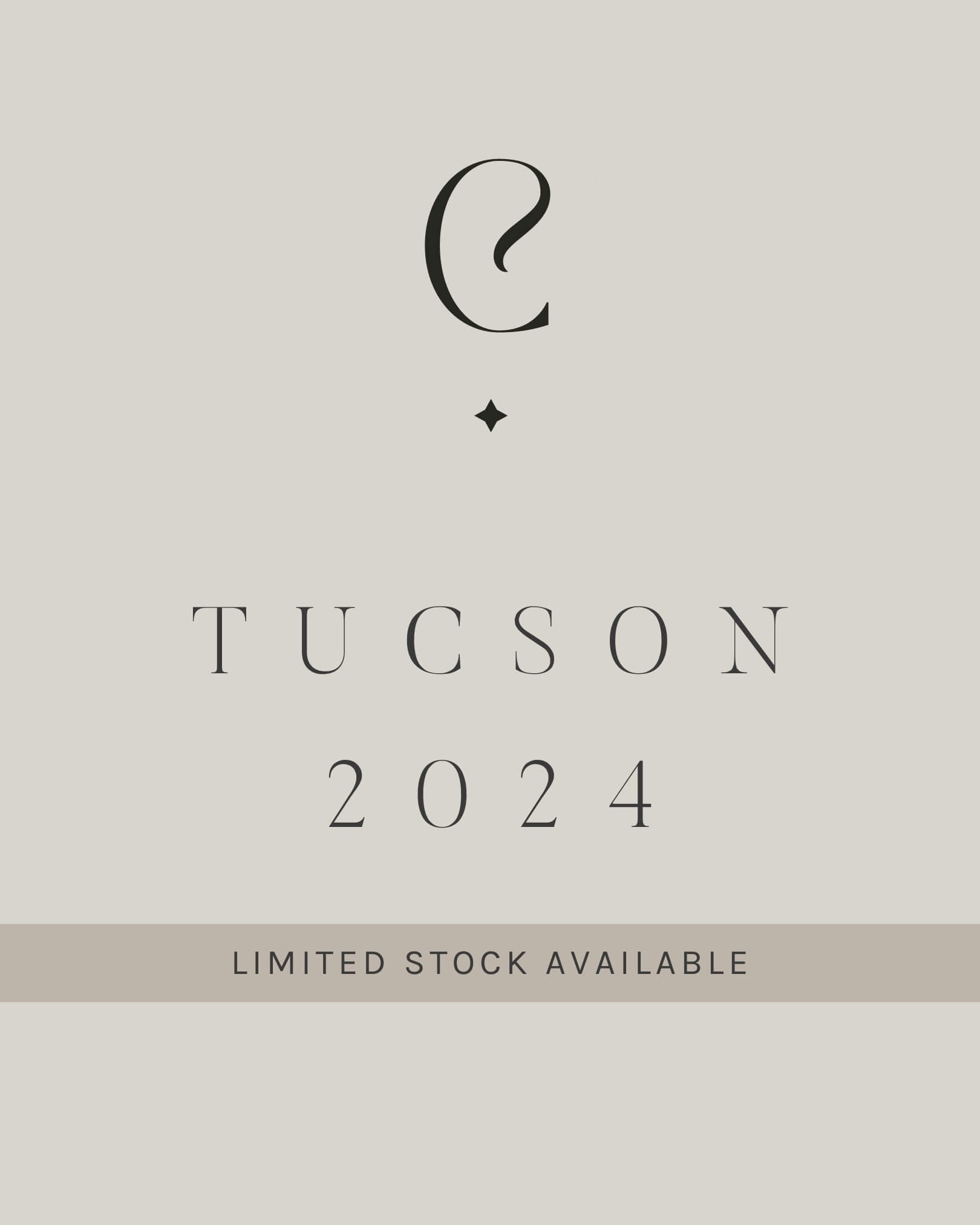 Tucson Gem Show 2024 Mystery Box