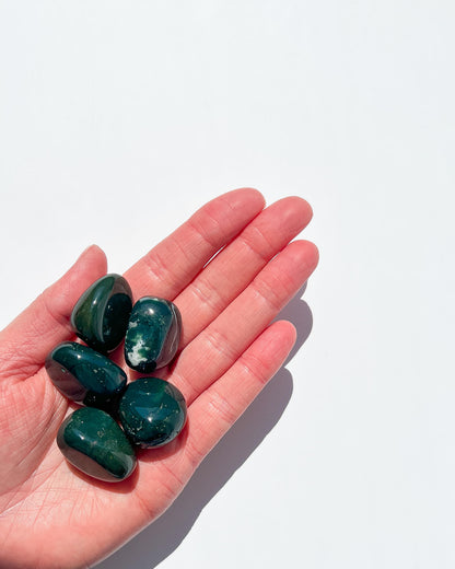 Bloodstone Tumble Stone Healing Crystal