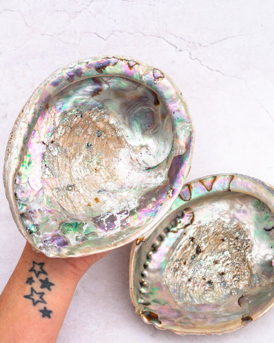Abalone Shells Natural Iridescence Cleansing Bowl