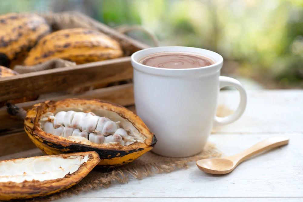 Ecuadorean Ceremonial Grade Cacao