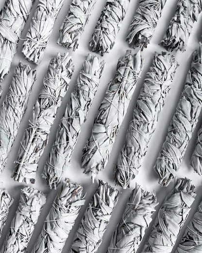 California Sage Smudge Stick 8" Healing Crystal