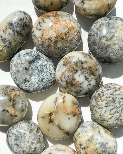 Merlinite Dendritic Agate Palm Stones