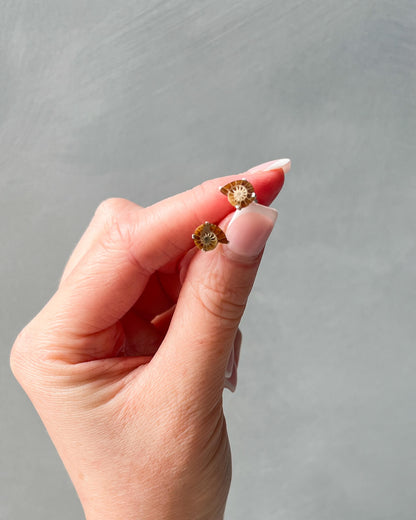Ammonite Stud Earrings 925 Sterling Silver Healing Crystal