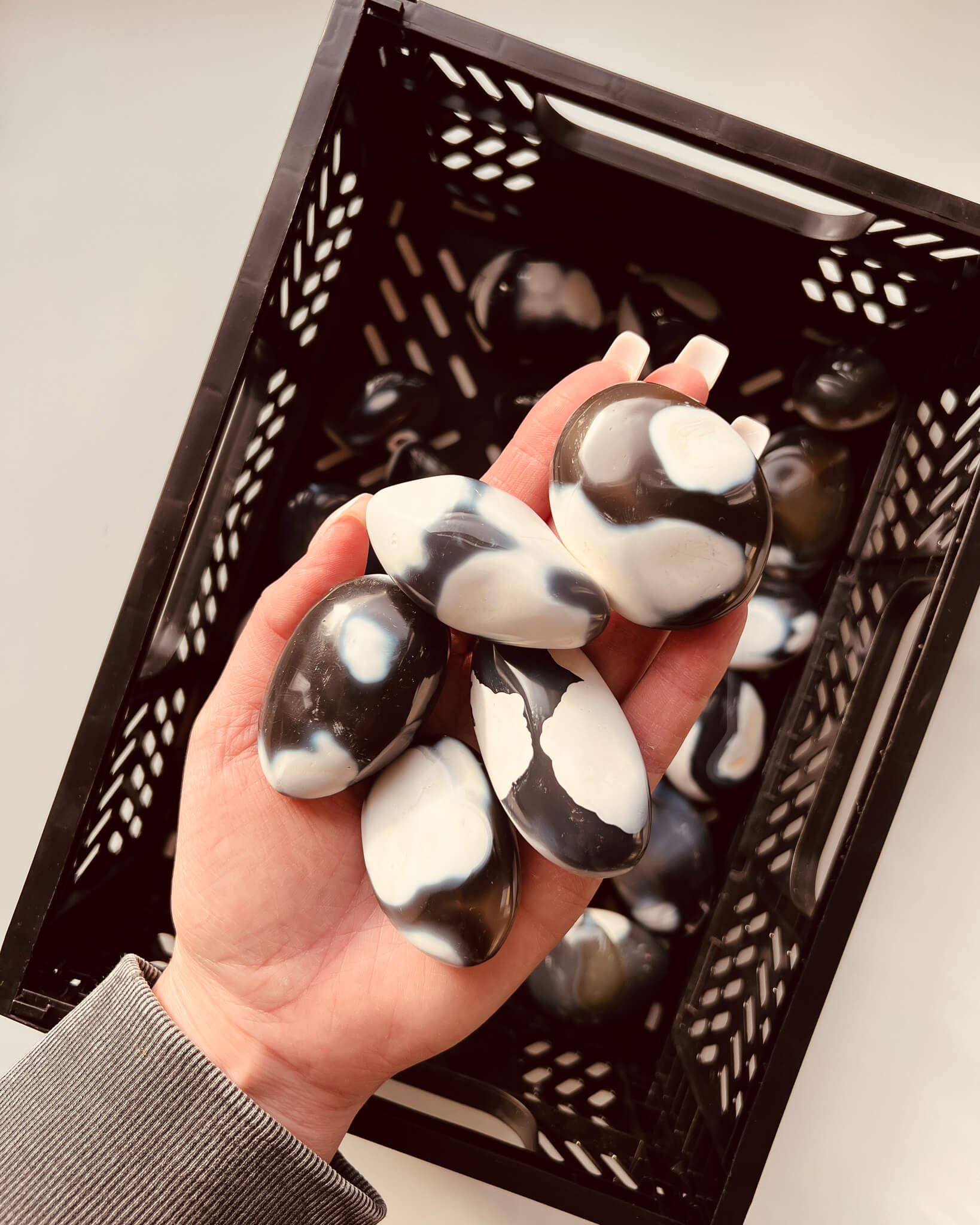 Orca Agate Palm Stone Healing Crystal