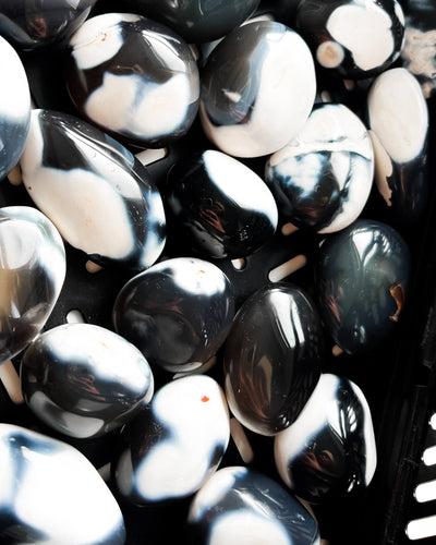 Orca Agate Palm Stone Healing Crystal