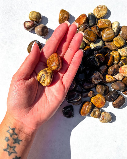 Petrified Wood Tumble Stone Healing Crystal