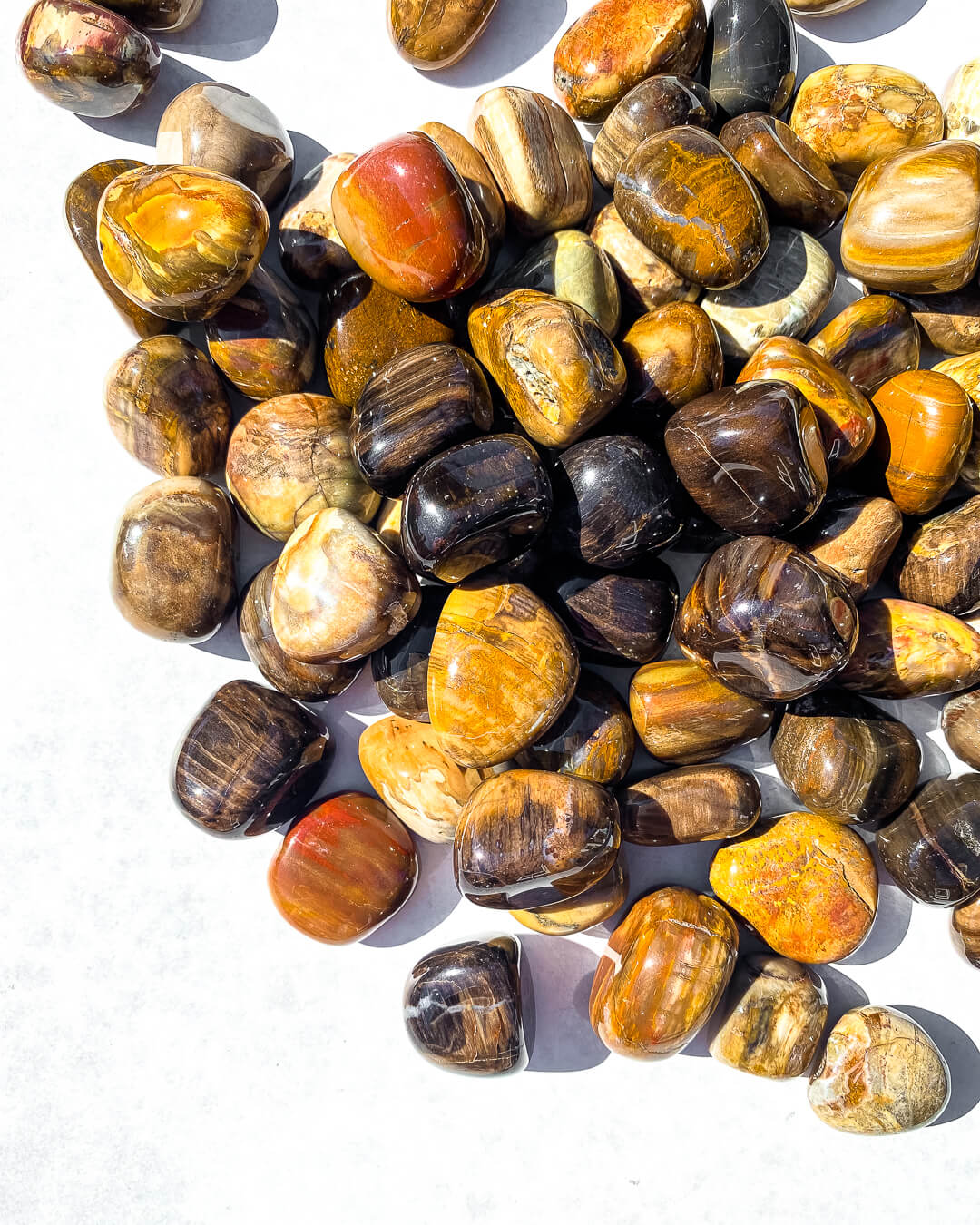 Petrified Wood Tumble Stone Healing Crystal